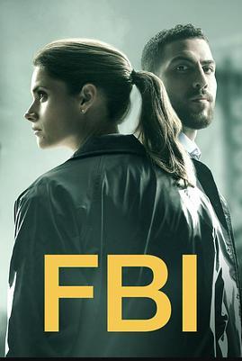 联邦调查局第二季 第09集