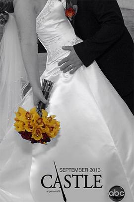 灵书妙探第六季 第17集