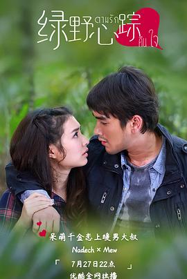 绿野心踪TV版 第14集