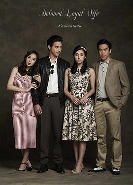 爱妻国语版 第27集