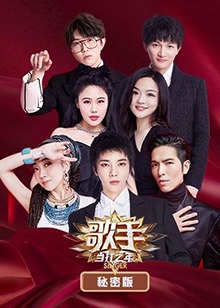 歌手 当打之年 秘密版 第13期