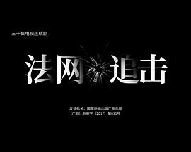 法网追击 第29集