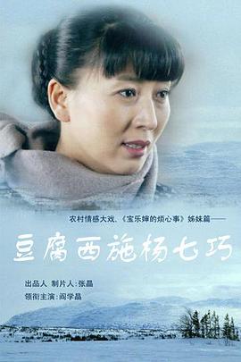 豆腐西施杨七巧 第20集