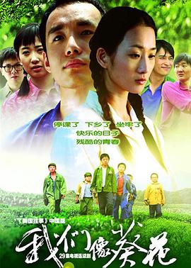 我们像葵花 第11集