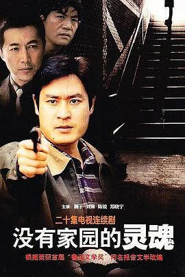 没有家园的灵魂 第20集(大结局)