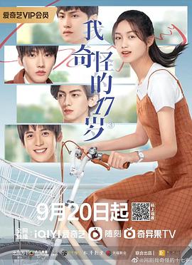 我奇怪的17岁 第11集