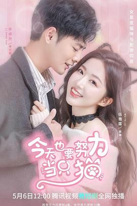 今天也要努力当只猫 第12集