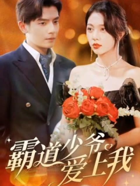 霸道少爷爱上我 61-80集(大结局)