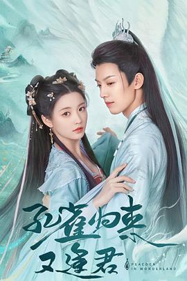 孔雀圣使请动心 第39集