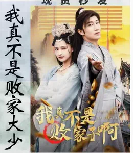 我真不是败家大少 第33集