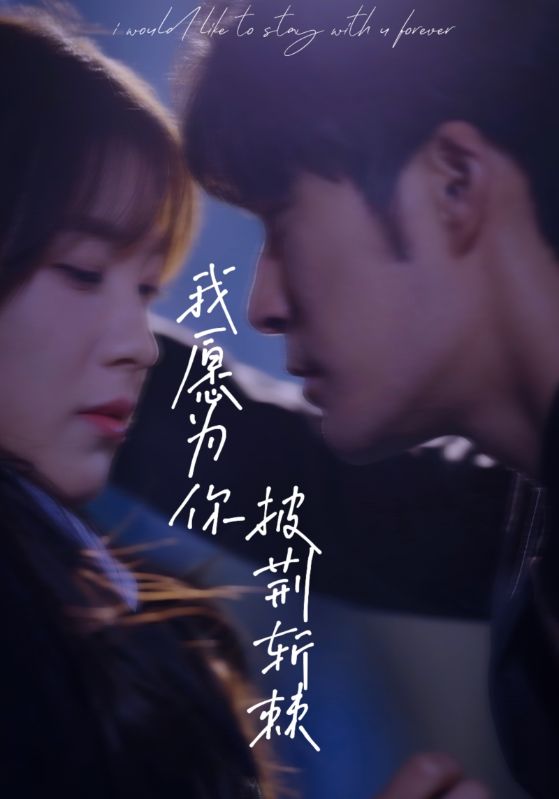 我愿为你披荆斩棘 全集(大结局)