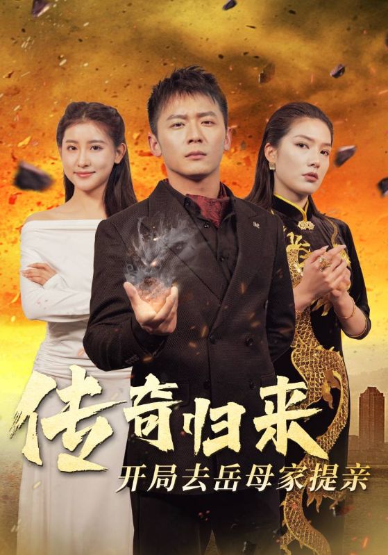 传奇归来开局去岳母家提亲 第08集