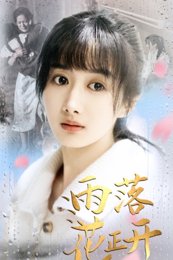 雨落花正开 第04集
