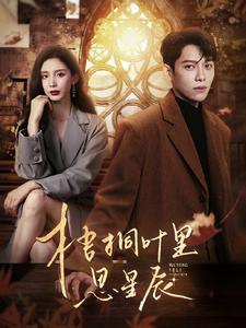 梧桐叶里思星辰 第84集