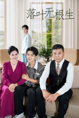 落叶无根生 第17集