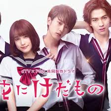 花予野兽 第一季 第10集(大结局)