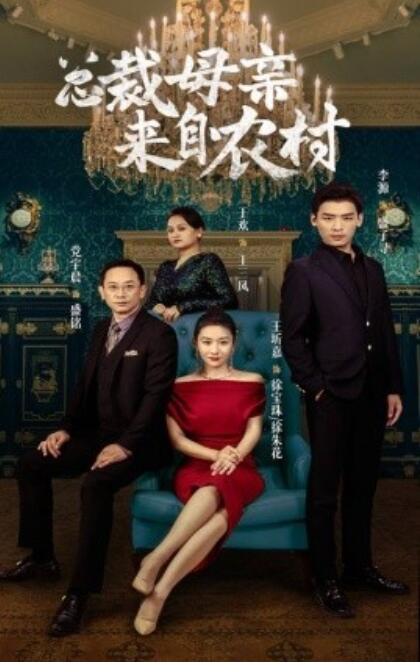 总裁母亲来自农村 第41集