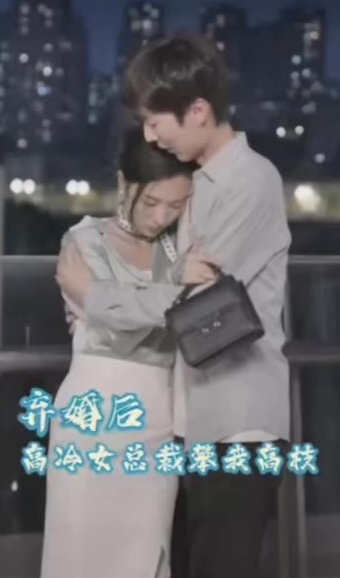 弃婚后，高冷女总裁攀我高枝 全集(大结局)