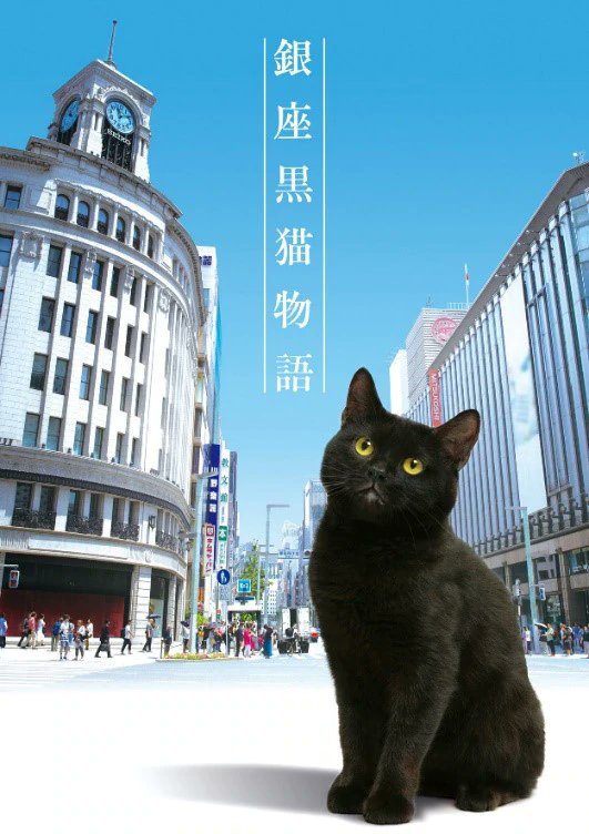 银座黑猫物语 第07集