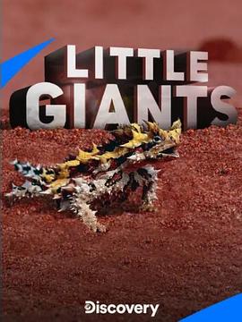 小动物狠角色 第14集