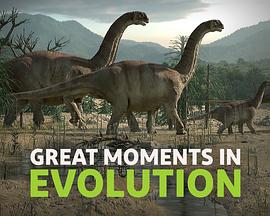 生命进化大事记 第01集