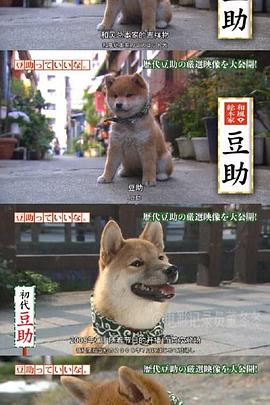 可爱的豆助 第12集(大结局)