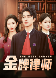 金牌律师 第39集