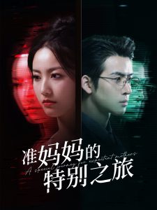 准妈妈的特别之旅 第60集