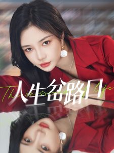 人生岔路口 第11集