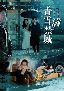 青雪满禁城 第15集