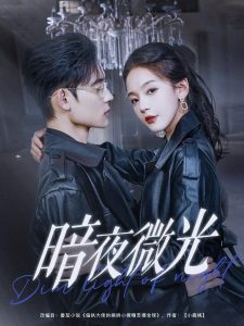 暗夜微光(全集)